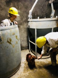 Mehr über den Artikel erfahren Trailen im Bergwerk